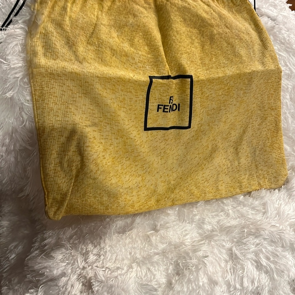 Fendi dust bag